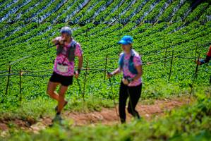 BIB: 
                            <button type="button" onclick="openModal(19164439)" class="btn btn-primary btn-sm float-right btn-popup" data-toggle="modal" data-target=".modal-high-quality">
                        <i class="fas fa-shopping-cart"></i> Add to Cart
                    </button>
                                            <button type="button" onclick="isThisMe(19164439, true)" class="btn btn-success btn-sm float-right btn-popup btn-isme hidden" data-toggle="tooltip" data-placement="bottom" title="นี่คือรูปของคุณใช่ไหม คลิกที่นี่เพื่อเอาเข้าอัลบั้ม">
                        <i class="fas fa-plus"></i> Add to album
                    </button>
                    <button type="button" onclick="isThisMe(19164439, false)" class="btn btn-warning btn-sm float-right btn-popup btn-isnotme hidden">
                        <i class="fas fa-ban"></i> Remove from album
                    </button>